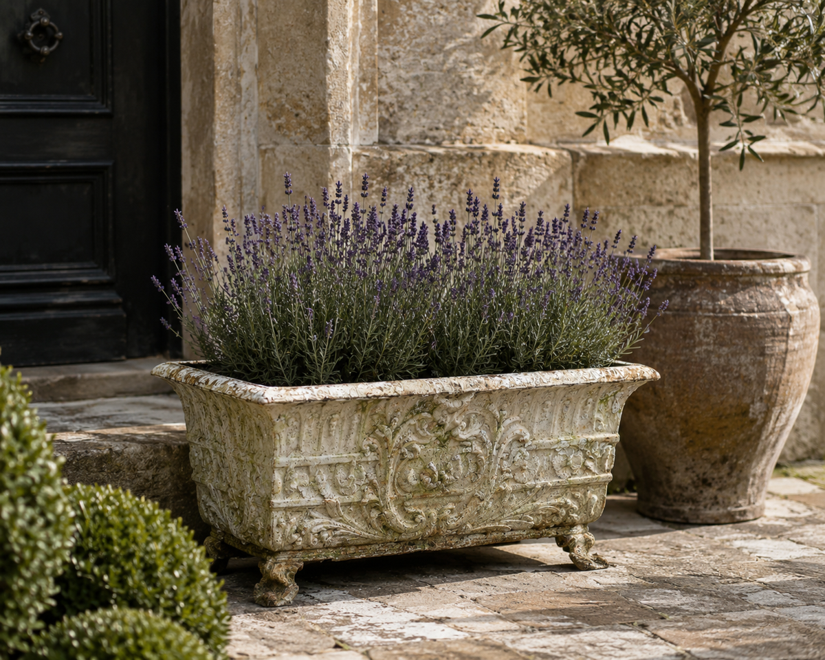 Antique cast iron garden planter filled with lavender in a rustic stone courtyard